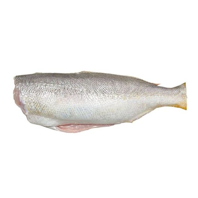 PESCADA SEM CABEÇA E SEM VÍSCERAS LAGUNA SUL GRANEL CAIXA 15KG (3 A 5 PEÇAS/KG)