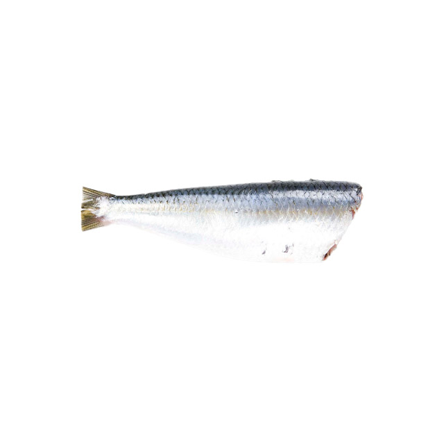 SARDINHA LAGE SEM CABEÇA SEM VÍSCERAS E SEM RABO MAR E MAR GRANEL CAIXA 15KG (8 A 10 PEÇAS/KG)