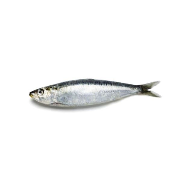 SARDINHA INTEIRA 8A10 PECAS DUMAR CAIXA 15KG