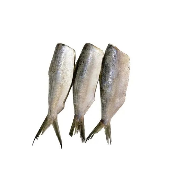 SARDINHA LAGE SEM CABECA, SEM VICERAS E SEM RABO 10A12 PECAS DUMAR CAIXA 15KG