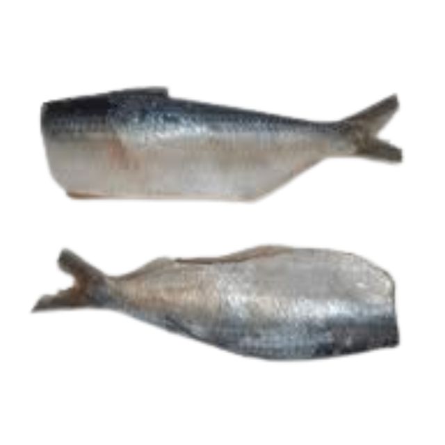 SARDINHA LAGE HG 10A12PÇ NUTRIPEIXE CX15KG