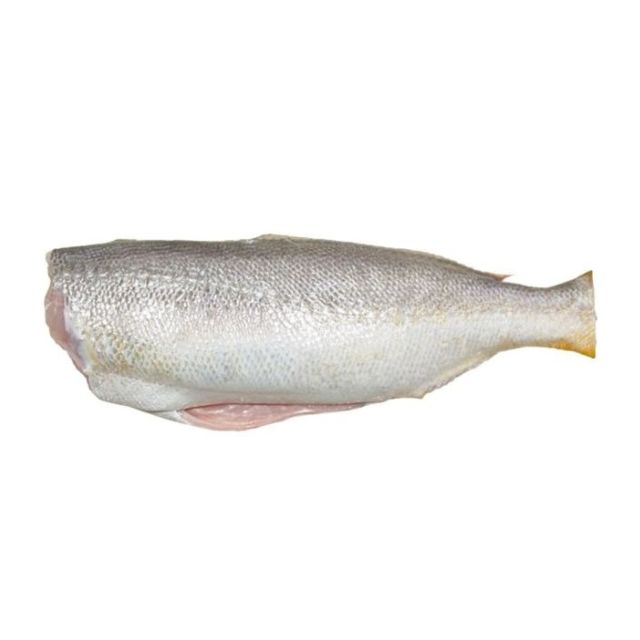 PESCADA HG 6A8PÇS NATURA FISH CX15KG