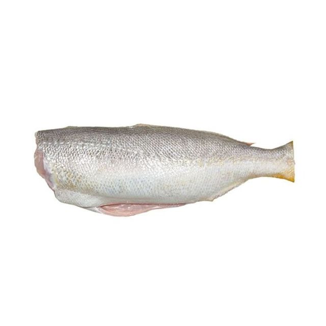 PESCADA HG 3A5PÇS NATURA FISH CX15KG