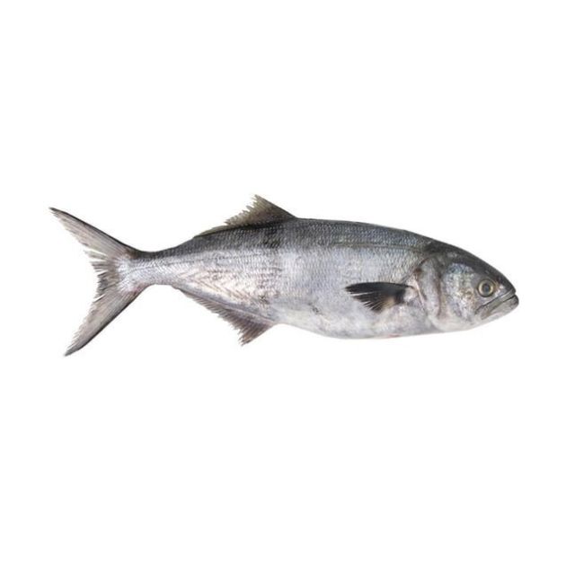 ANCHOVA INTEIRA 700G ACIMA PHILIMAR CAIXA 15KG