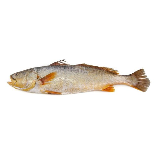 PESCADA AMARELA EVISCERADA 5A10K ALINKALSACO ±35KG