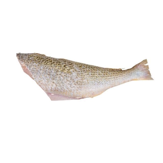 CORVINA SEM CABEÇA, SEM VISCERAS E SEM RABO PESCAL CAIXA 15KG