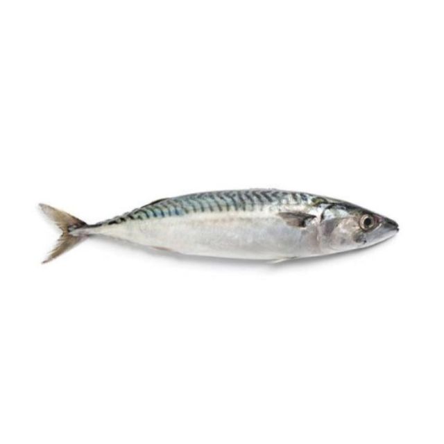 CAVALINHA INTEIRA 2A3 PECAS NATURA FISH CAIXA 15KG