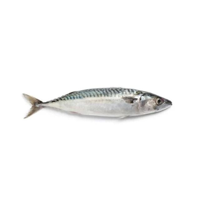 CAVALINHA INTEIRA 2A3 PECAS NATURA FISH CAIXA 15KG